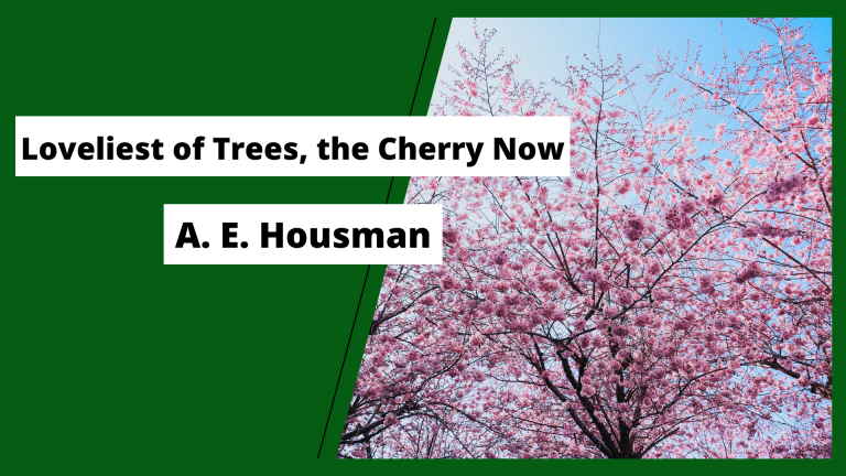 Loveliest of Trees, the Cherry Now